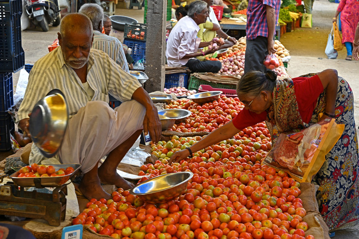 Quầy bán cà chua ở Ấn Độ - Ảnh: AFP