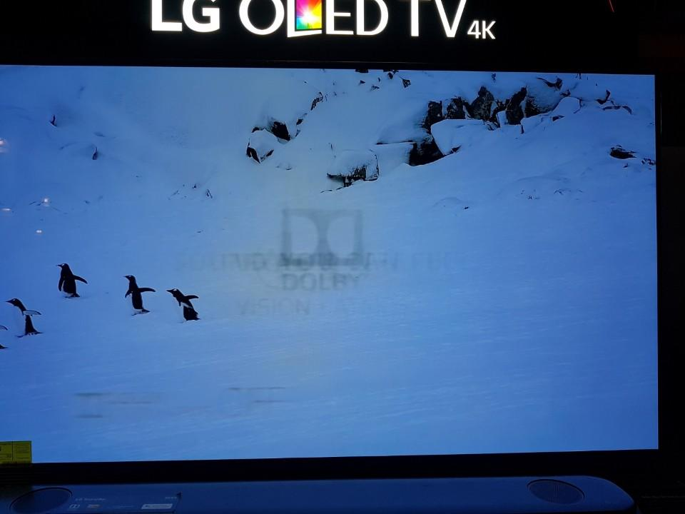 Nên mua TV OLED hay QLED? Công nghệ OLED khác biệt gì với QLED?